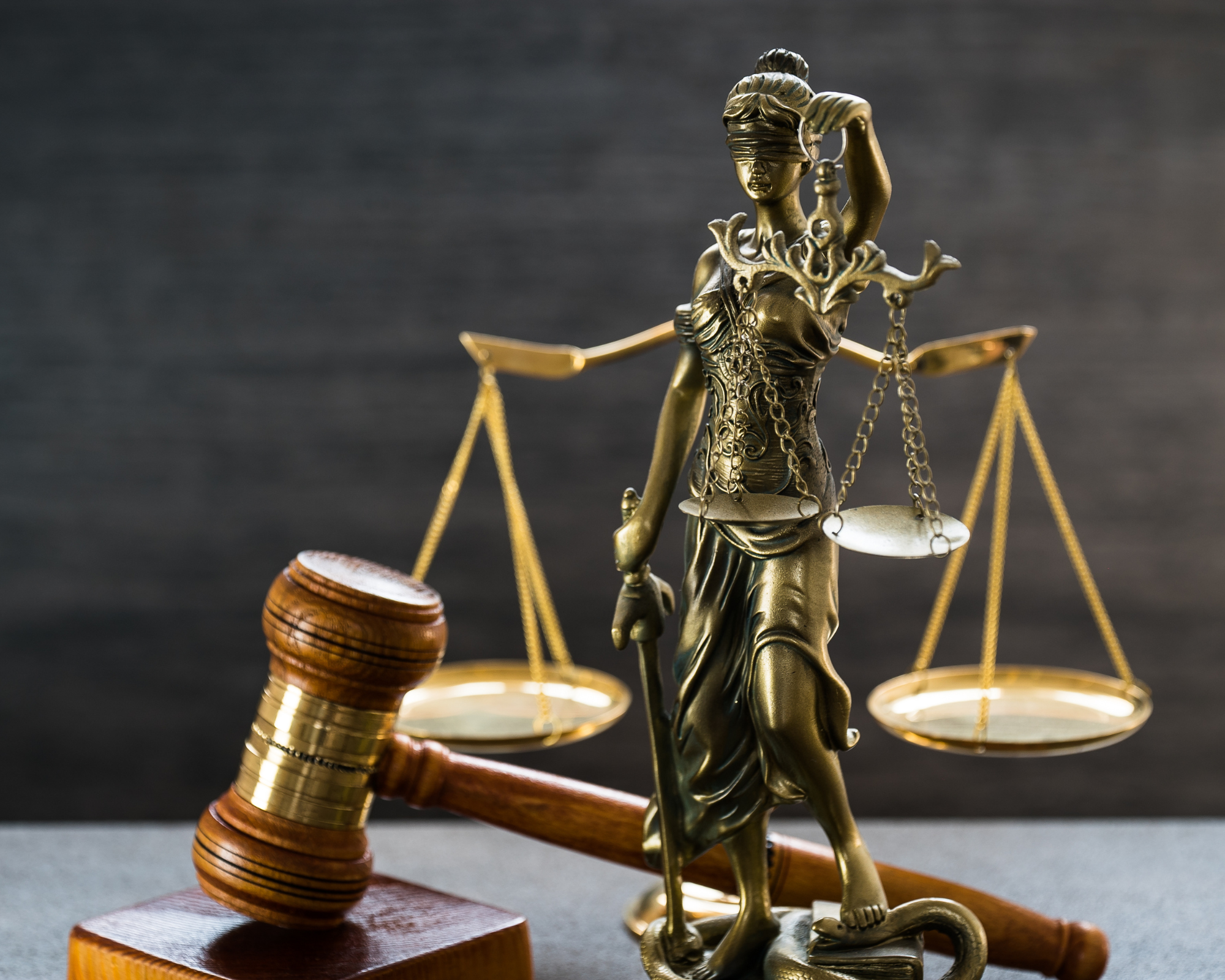 Les réglementations sur les perturbateurs endocriniens : Comprendre et se Conformer