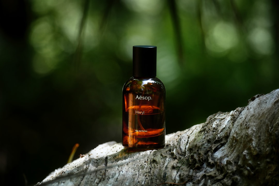 A clear glass perfume bottle catching soft natural light