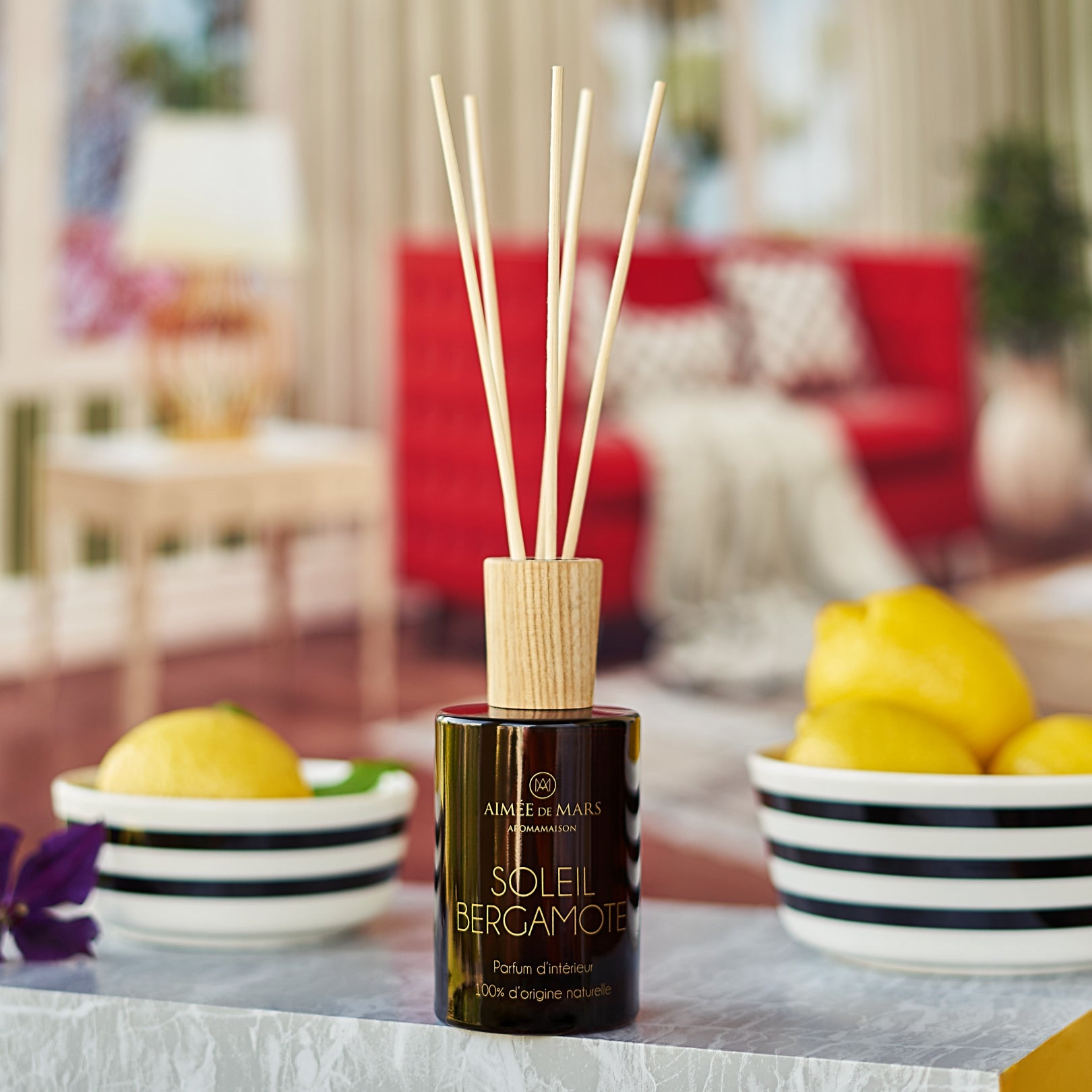 SOLEIL BERGAMOTE - Natural Room Fragrance Sticks